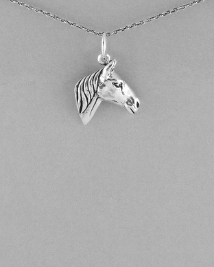 Pendentif Argent