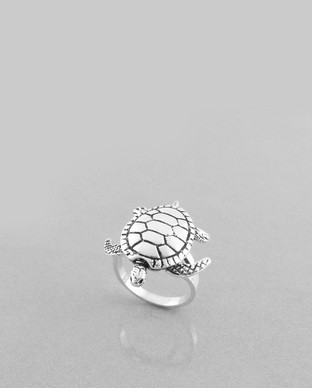 Bague Argent