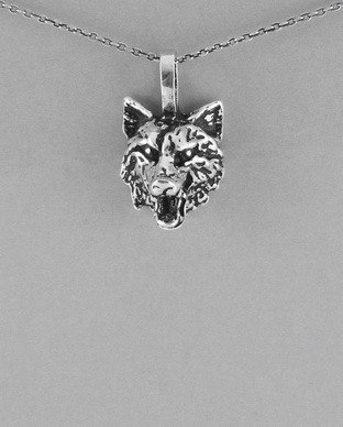 Pendentif Argent