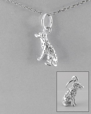 Pendentif Argent