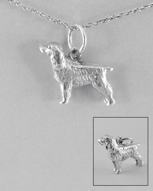 Pendentif Argent