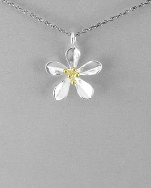 Pendentif Argent